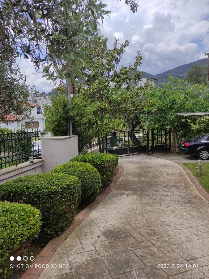 Garden House Palaiontsiflikion Exterior foto